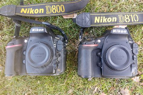 Canon PowerShot S100 vs Nikon D800 Karşılaştırma